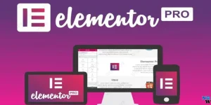 plugin-elementor-pro.webp