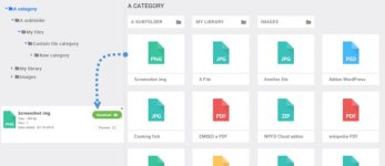 WP File Download Plugin