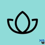 lotus.webp lotus.webp