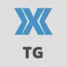 [XFA] Tags Generator Plugin